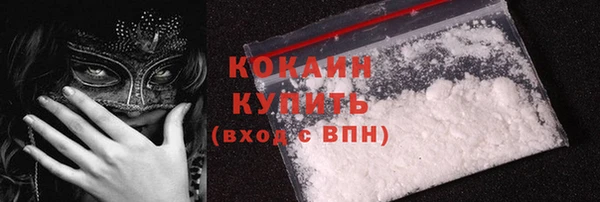 индика Белокуриха