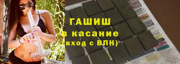 индика Белокуриха