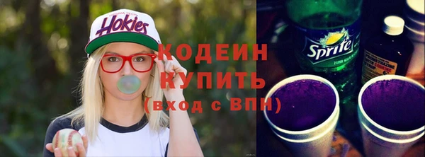 индика Белокуриха