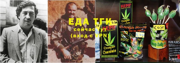 индика Белокуриха