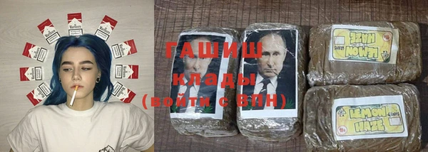 индика Белокуриха