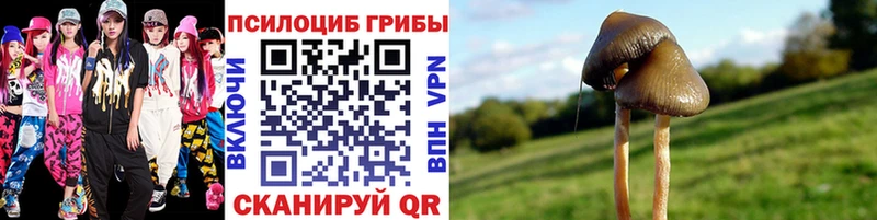 Псилоцибиновые грибы Magic Shrooms  Купить закладки  Белорецк 